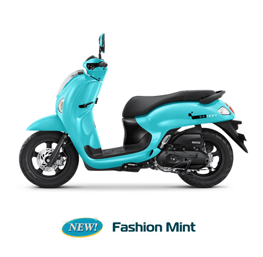 Scoopy
